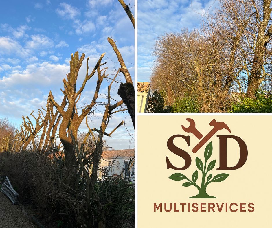 SD-Multiservices La Rochelle — Photos 9