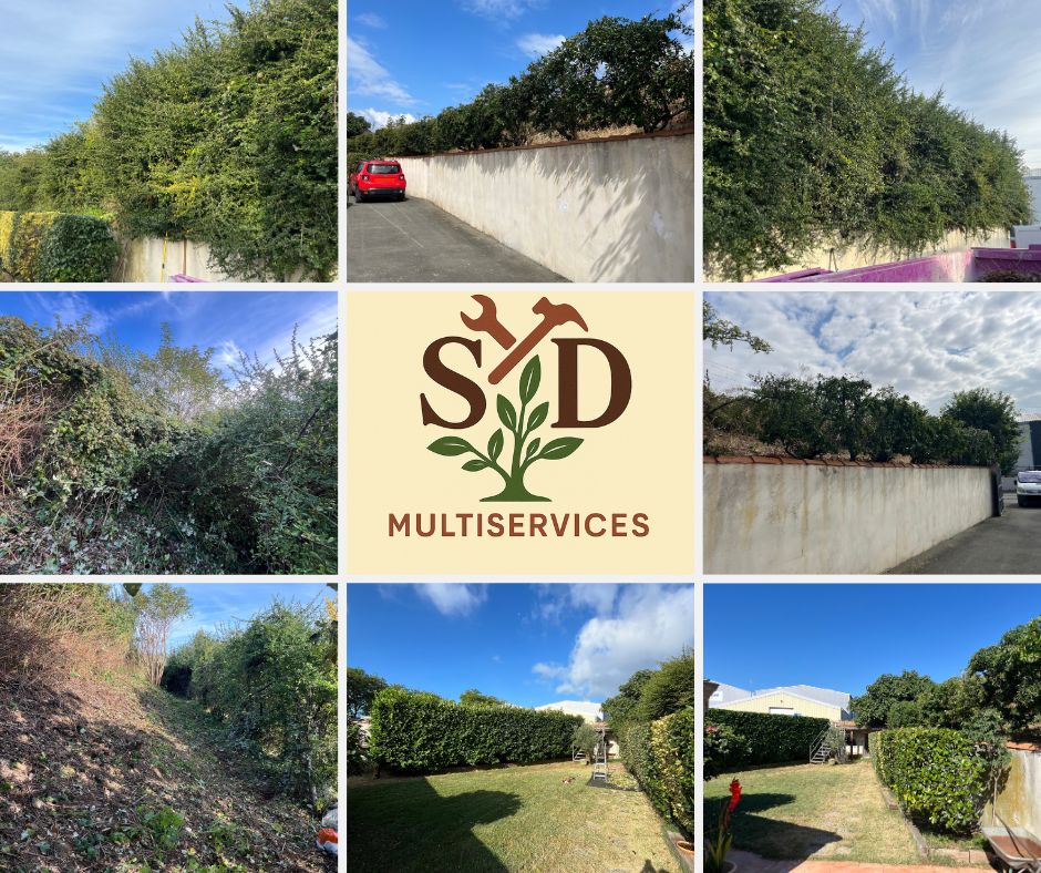 SD-Multiservices La Rochelle — Photos 2